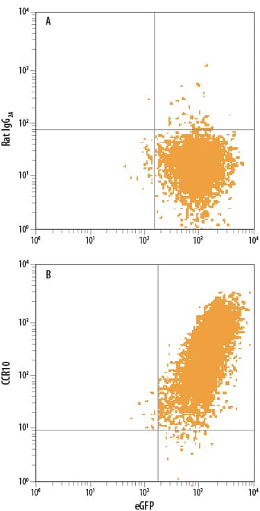 L1.2 mouse pro-B cell line transfected with human CCR10 and eGFP was stained with either (A) Rat IgG2AAllophycocyanin Isotype Control (Catalog # IC006A) or (B) Rat Anti-Human CCR10 APC-conjugated Monoclonal Antibody (Catalog # FAB3478A). View our protocol for Staining Membrane-associated Proteins.