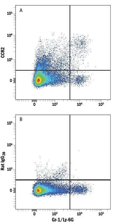 Mouse splenocytes were stained with Rat Anti-Mouse Gr-1/Ly-6G Fluorescein-conjugated Monoclonal Antibody (Catalog # FAB1037F) and either (A) Rat Anti-Mouse/Rat CCR2 Alexa Fluor® 647-conjugated Monoclonal Antibody (Catalog # FAB5538R) or (B) Rat IgG2BAlexa Fluor 647 Isotype Control (Catalog # IC013R). View our protocol for Staining Membrane-associated Proteins.