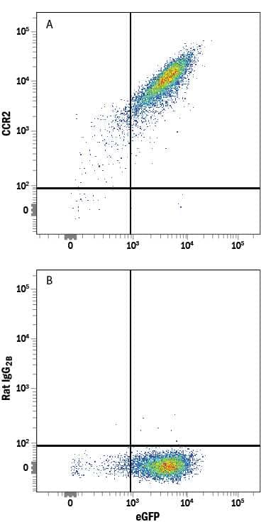 NS0 mouse myeloma cell line transfected with mouse CCR2 and eGFP was stained with either (A) Rat Anti-Mouse/Rat CCR2 Alexa Fluor® 647-conjugated Monoclonal Antibody (Catalog # FAB5538R) or (B) Rat IgG2BAlexa Fluor 647 Isotype Control (Catalog # IC013R). View our protocol for Staining Membrane-associated Proteins.