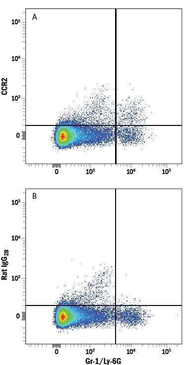 Mouse splenocytes were stained with Rat Anti-Mouse Gr-1/Ly-6G Fluorescein-conjugated Monoclonal Antibody (Catalog # FAB1037F) and either (A) Rat Anti-Mouse/Rat CCR2 Alexa Fluor® 750-conjugated Monoclonal Antibody (Catalog # FAB5538S) or (B) Rat IgG2BAlexa Fluor 750 Isotype Control (Catalog # IC013S). View our protocol for Staining Membrane-associated Proteins.