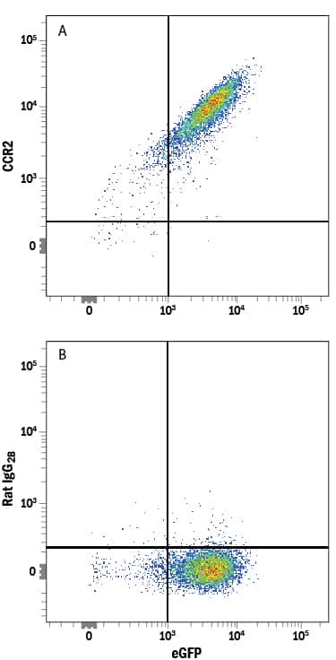 NS0 mouse myeloma cell line transfected with mouse CCR2 and eGFP was stained with either (A) Rat Anti-Mouse/Rat CCR2 Alexa Fluor® 750-conjugated Monoclonal Antibody (Catalog # FAB5538S) or (B) Rat IgG2BAlexa Fluor 750 Isotype Control (Catalog # IC013S). View our protocol for Staining Membrane-associated Proteins.