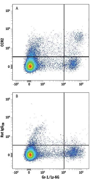 Mouse splenocytes were stained with Rat Anti-Mouse Gr-1/Ly-6G APC-conjugated Monoclonal Antibody (Catalog # FAB1037A) and either (A) Rat Anti-Mouse/Rat CCR2 Alexa Fluor® 594-conjugated Monoclonal Antibody (Catalog # FAB5538T) or (B) Rat IgG2BAlexa Fluor 594 Isotype Control (Catalog # IC013T). View our protocol for Staining Membrane-associated Proteins.