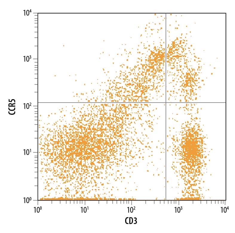 Rat splenocytes were stained with Mouse Anti-Human/Mouse/Rat CCR5 APC-conjugated Monoclonal Antibody (Catalog # FAB1802A) and Anti-Rat CD3 PE-conjugated Antibody. Quadrant markers were set based on control antibody staining (Catalog # IC002A). View our protocol for Staining Membrane-associated Proteins.