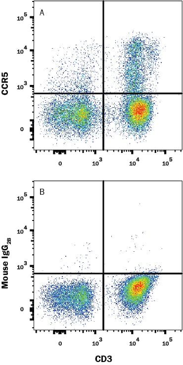 Human peripheral blood lymphocytes were stained with (A) Mouse Anti-Human CCR5 Monoclonal Antibody (Catalog # MAB1802R) or (B) control antibody (Catalog # MAB002), followed by Phycoerythrin-conjugated Anti-Mouse IgG Secondary Antibody (Catalog # F0102B) and Mouse anti-Human CD3 APC-conjugated monoclonal antibody (Catalog # FAB100A). View our protocol for Staining Membrane-associated Proteins.