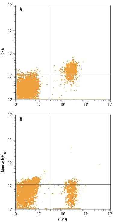 Human peripheral blood mononuclear cells (PBMCs) were stained with Mouse Anti-Human CD19 PE-conjugated Monoclonal Antibody (Catalog # FAB4867P) and either (A) Mouse Anti-Human CCR6 APC-conjugated Monoclonal Antibody (Catalog # FAB195A) or (B) Mouse IgG2BAllophycocyanin Isotype Control (Catalog # IC0041A). View our protocol for Staining Membrane-associated Proteins.