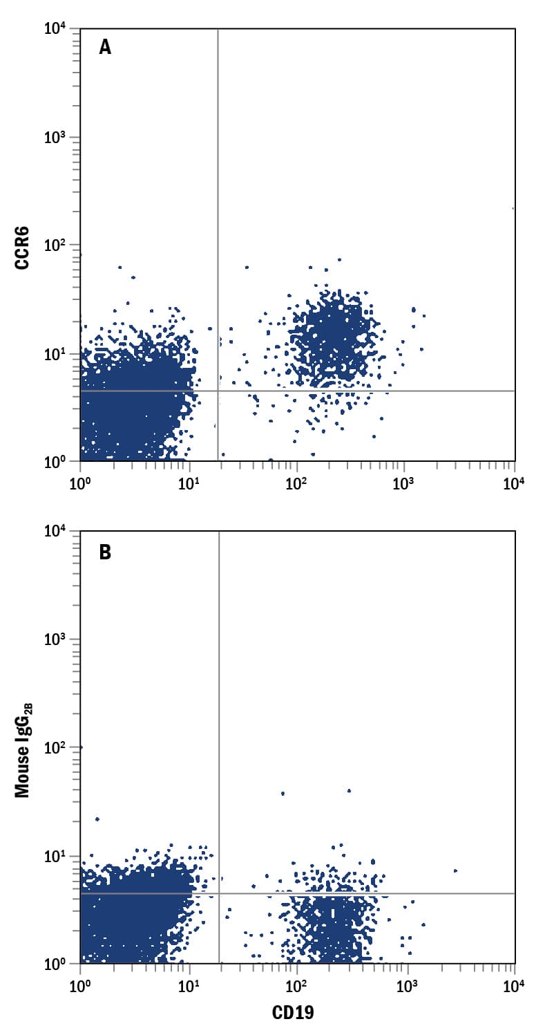 Human peripheral blood mononuclear cells (PBMCs) were stained with Mouse Anti-Human CD19 APC-conjugated Monoclonal Antibody (Catalog # FAB4867A) and either (A) Mouse Anti-Human CCR6 Fluorescein-conjugated Monoclonal Antibody (Catalog # FAB195F) or (B) Mouse IgG2BFluorescein Isotype Control (Catalog # IC0041F). View our protocol for Staining Membrane-associated Proteins.