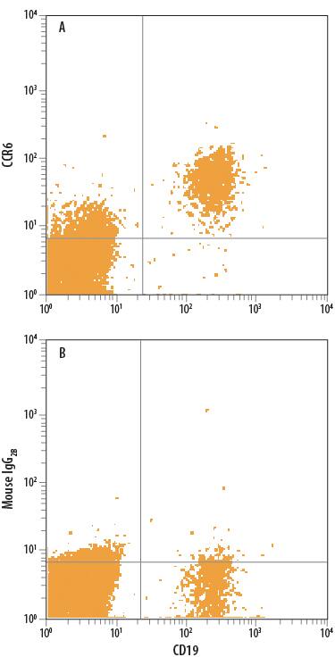 Human peripheral blood mononuclear cells (PBMCs) were stained with Mouse Anti-Human CD19 APC-conjugated Monoclonal Antibody (Catalog # FAB4867A) and either (A) Mouse Anti-Human CCR6 PE-conjugated Monoclonal Antibody (Catalog # FAB195P) or (B) Mouse IgG2BPhycoerythrin Isotype Control (Catalog # IC0041P). View our protocol for Staining Membrane-associated Proteins.