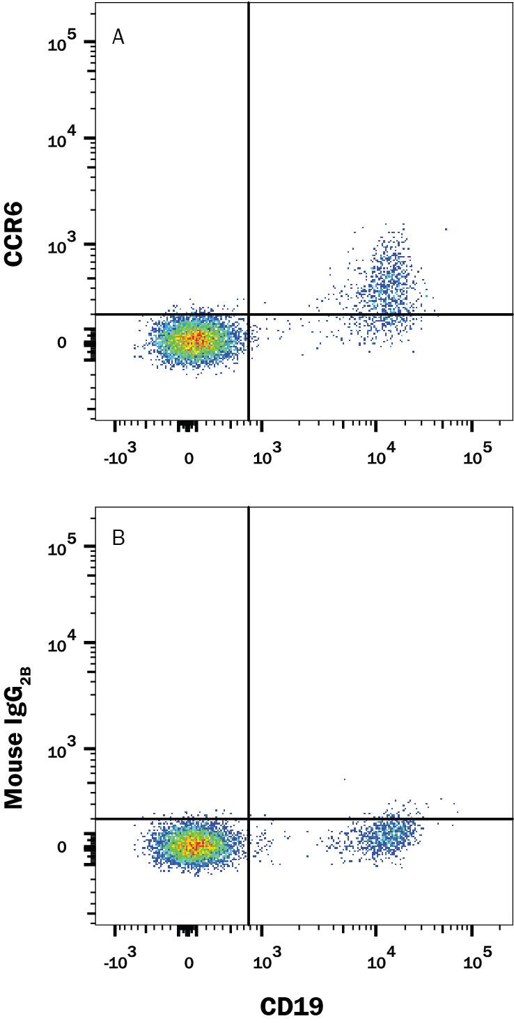 Human peripheral blood mononuclear cells (PBMCs) were stained with Mouse Anti-Human CD19 APC-conjugated Monoclonal Antibody (Catalog # FAB4867A) and either (A) Mouse Anti-Human CCR6 Alexa Fluor® 594-conjugated Monoclonal Antibody (Catalog # FAB195T) or (B) Mouse IgG2BAlexa Fluor 594 Isotype Control (Catalog # IC0041T). View our protocol for Staining Membrane-associated Proteins.