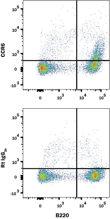 Mouse splenocytes were stained with (A) Rat Anti-Mouse CCR6 Alexa Fluor® 700-conjugated Monoclonal Antibody (Catalog # FAB590N) or (B) RatIgG2A isotype control antibody (Catalog # IC006N) and Rat Anti-Mouse B220/CD45R PE-conjugated Monoclonal Antibody (Catalog # FAB1217P). View our protocol for Staining Membrane-associated Proteins.