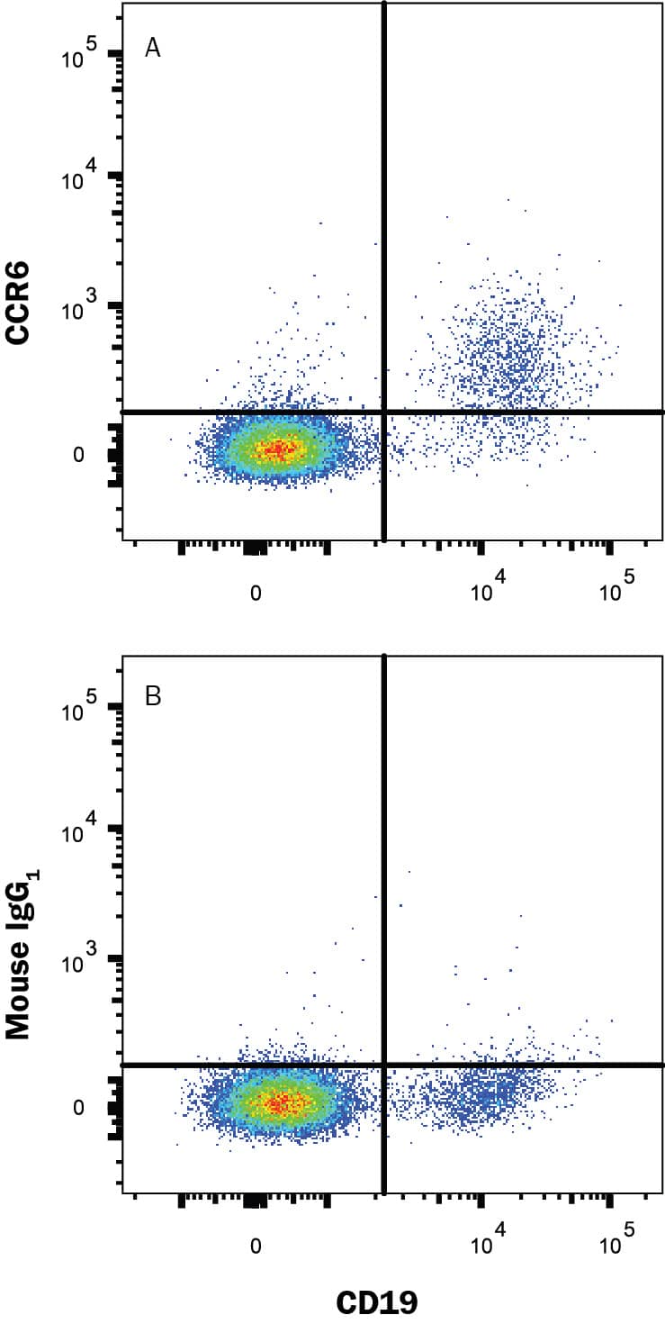 Human peripheral blood mononuclear cells (PBMCs) were stained with Mouse Anti-Human CD19 APC-conjugated Monoclonal Antibody (Catalog # FAB4867A) and either (A) Mouse Anti-Human CCR6 Monoclonal Antibody (Catalog # MAB1951) or (B) Mouse IgG1 Isotype Control (Catalog # MAB002) followed by anti-Mouse IgG PE-conjugated Secondary Antibody (Catalog # F0102B). View our protocol for Staining Membrane-associated Proteins.