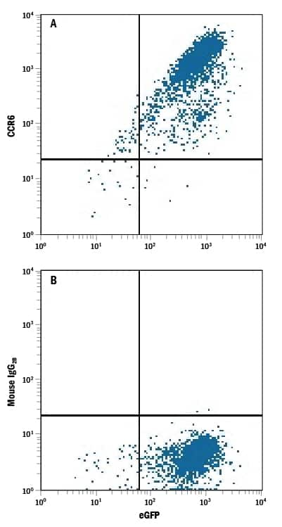 HEK293 human embryonic kidney cell line transfected with rat CCR6 and eGFP was stained with Mouse Anti-Rat CCR6 Monoclonal Antibody (Catalog # MAB8320) followed by Allophycocyanin-conjugated Anti-Mouse IgG Secondary Antibody (Catalog # F0101B). Quadrant markers were set based on control antibody staining (Catalog # MAB0041). 