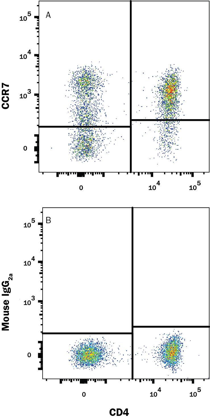 Human peripheral blood lymphocytes were stained with Mouse Anti-Human CD4 PE-conjugated Monoclonal Antibody (Catalog # FAB3791P) and either (A) Mouse Anti-Human CCR7 APC-conjugated Monoclonal Antibody (Catalog # FAB197A) or (B) Mouse IgG2AAllophycocyanin Isotype Control (Catalog # IC003A). View our protocol for Staining Membrane-associated Proteins.