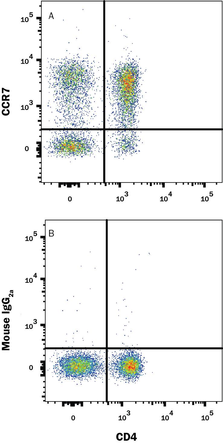 Human peripheral blood lymphocytes were stained with Mouse Anti-Human CD4 APC-conjugated Monoclonal Antibody (Catalog # FAB3791A) and either (A) Mouse Anti-Human CCR7 PE-conjugated Monoclonal Antibody (Catalog # FAB197P) or (B) Mouse IgG2APhycoerythrin Isotype Control (Catalog # IC003P). View our protocol for Staining Membrane-associated Proteins.