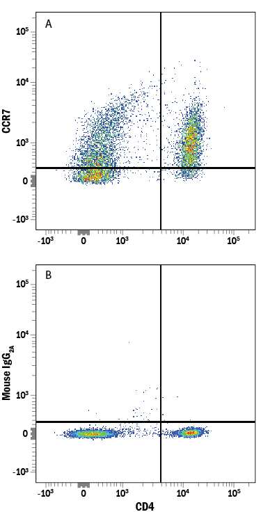 Human peripheral blood mononuclear cells (PBMCs) were stained with Mouse Anti-Human CD4 APC-conjugated Monoclonal Antibody (Catalog # FAB3791A) and either (A) Mouse Anti-Human CCR7 Alexa Fluor® 594-conjugated Monoclonal Antibody (Catalog # FAB197T) or (B) Mouse IgG2AAlexa Fluor 594 Isotype Control (Catalog # IC003T). View our protocol for Staining Membrane-associated Proteins.