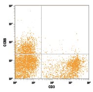 Rat peripheral blood cells were stained with Rat Anti-Human/Rat CCR8 APC-conjugated Monoclonal Antibody (Catalog # FAB1429A) and Anti-Rat CD3 PE-conjugated Antibody. Quadrant markers were set based on control antibody staining (Catalog # IC013A). View our protocol for Staining Membrane-associated Proteins.