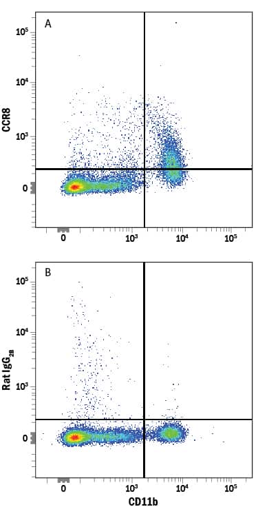 Human peripheral blood mononuclear cells (PBMCs) were stained with Mouse Anti-Human Integrin aM/CD11b Alexa Fluor® 488-conjugated Monoclonal Antibody (Catalog # FAB16991G) and either (A) Rat Anti-Human/Rat CCR8 PE-conjugated Monoclonal Antibody (Catalog # FAB1429P) or (B) Rat IgG2BPhycoerythrin Isotype Control (Catalog # IC013P). View our protocol for Staining Membrane-associated Proteins.