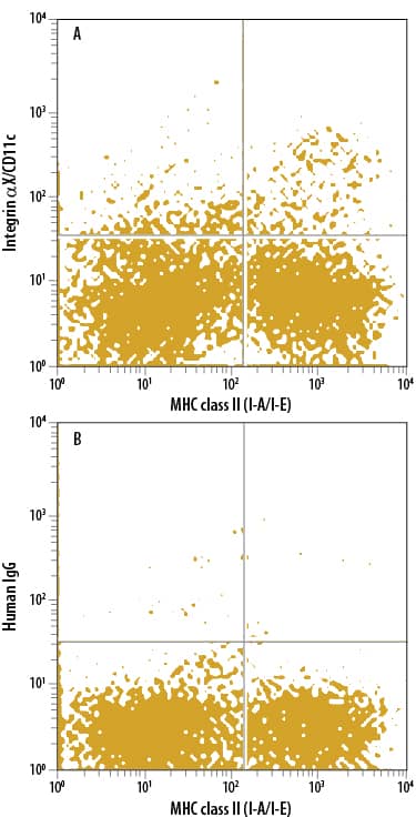 Mouse splenocytes were stained with Rat Anti-Mouse MHC class II (I-A/I-E) APC-conjugated Monoclonal Antibody (Catalog # FAB6118A) and either (A) Hamster Anti-Mouse CD11c Alexa Fluor® 488-conjugated Monoclonal Antibody (Catalog # FAB69501G) or (B) Hamster IgG Alexa Fluor 488 Control. View our protocol for Staining Membrane-associated Proteins.