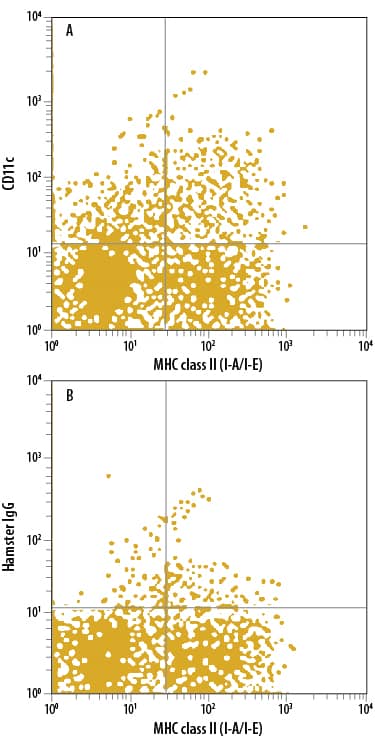 Mouse splenocytes were stained with Rat Anti-Mouse MHC class II (I-A/I-E) Fluorescein-conjugated Monoclonal Antibody (Catalog # FAB6118F) and either (A) Hamster Anti-Mouse CD11c Alexa Fluor® 700-conjugated Monoclonal Antibody (Catalog # FAB69501N) or (B) Hamster IgG Alexa Fluor 700 Control. View our protocol for Staining Membrane-associated Proteins.