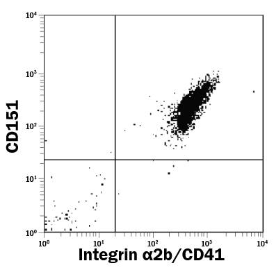 Human peripheral blood platelets were stained with Mouse Anti-Human CD151 PE-conjugated Monoclonal Antibody (Catalog # FAB1884P) and FITC-conjugated anti-human CD41. Quadrant maker was set based on isotype control antibody staining (Catalog # IC0041P). View our protocol for Staining Membrane-associated Proteins.