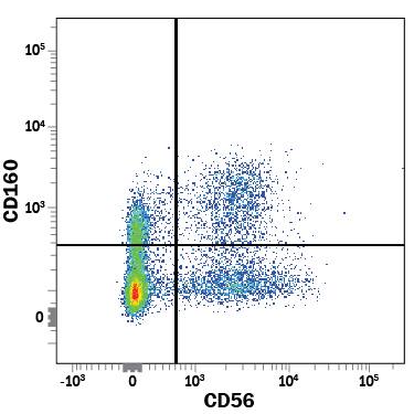 Human peripheral blood mononuclear cells (PBMCs) were stained with Mouse Anti-Human CD160 Alexa Fluor® 488-conjugated Monoclonal Antibody (Catalog # FAB6700G) and Mouse Anti-Human NCAM-1/CD56 PE-conjugated Monoclonal Antibody (FAB2408P). View our protocol for Staining Membrane-associated Proteins.