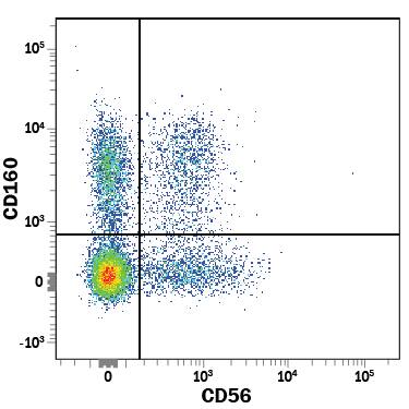 Human peripheral blood mononuclear cells (PBMCs) were stained with Mouse Anti-Human CD160 PE-conjugated Monoclonal Antibody (Catalog # FAB6700P) and Mouse Anti-Human NCAM-1/CD56 APC-conjugated Monoclonal Antibody (Catalog # FAB2408A). View our protocol for Staining Membrane-associated Proteins.