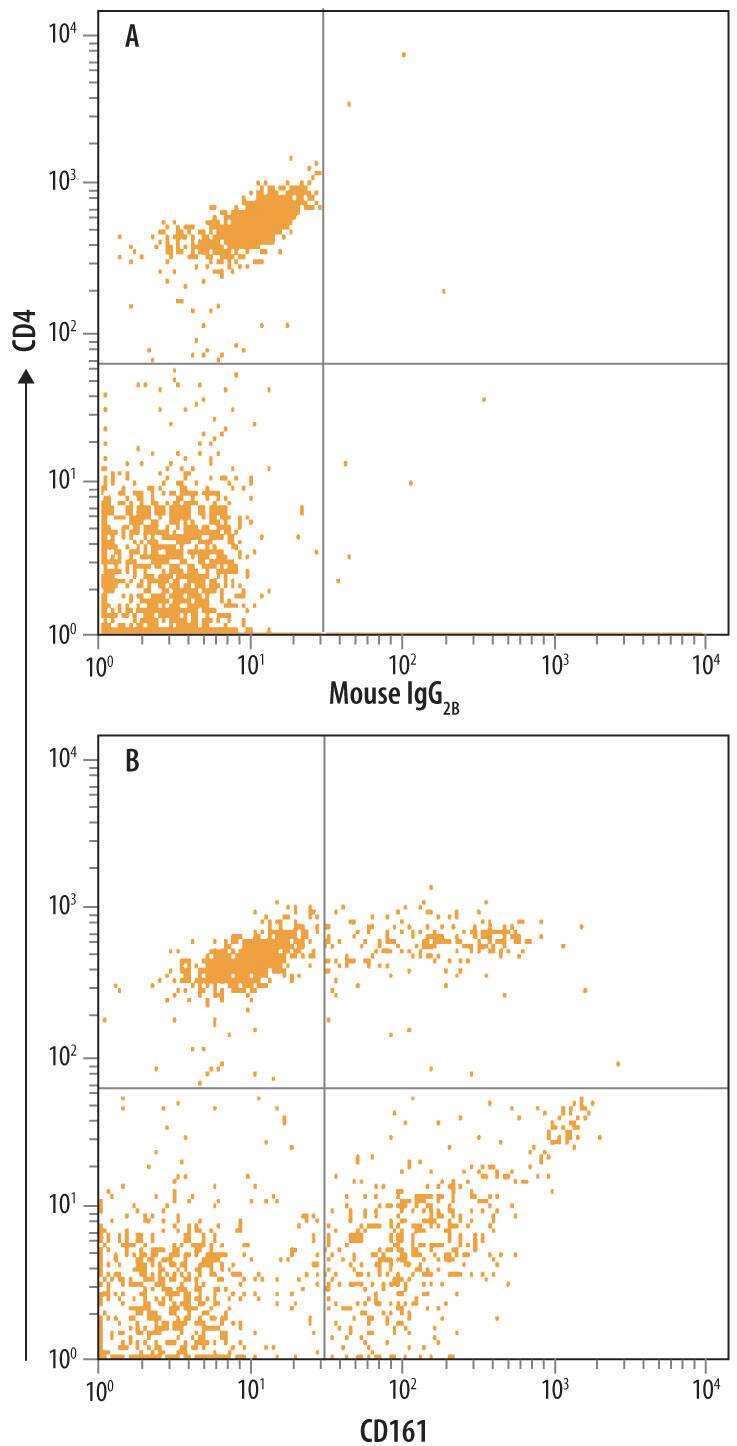 Human peripheral blood lymphocytes were stained with Mouse Anti-Human CD4 APC-conjugated Monoclonal Antibody (Catalog # FAB3791A) and either (A) Mouse IgG2B Isotype control (Catalog # MAB0041) or (B) Mouse Anti-Human CD161 Monoclonal Antibody (Catalog # MAB7448) followed by Phycoerythrin-conjugated Anti-Mouse IgG Secondary Antibody (Catalog # F0102B).