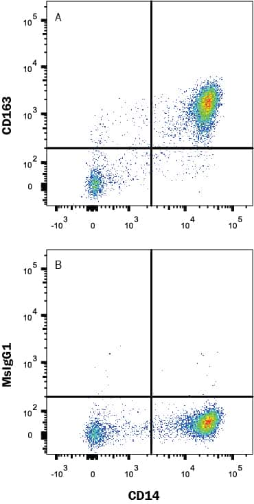 Human peripheral blood monocytes were stained with Mouse anti-Human CD14 PE-conjugated Monoclonal Antibody (Catalog # FAB3832P) and (A) Mouse Anti-Human CD163 Monoclonal Antibody (Catalog # MAB16072) or (B) isotype control antibody (Catalog # MAB002, open histogram) followed by APC-conjugated Goat anti-Mouse IgG Secondary Antibody (Catalog # F0101B). View our protocol for Staining Membrane-associated Proteins.