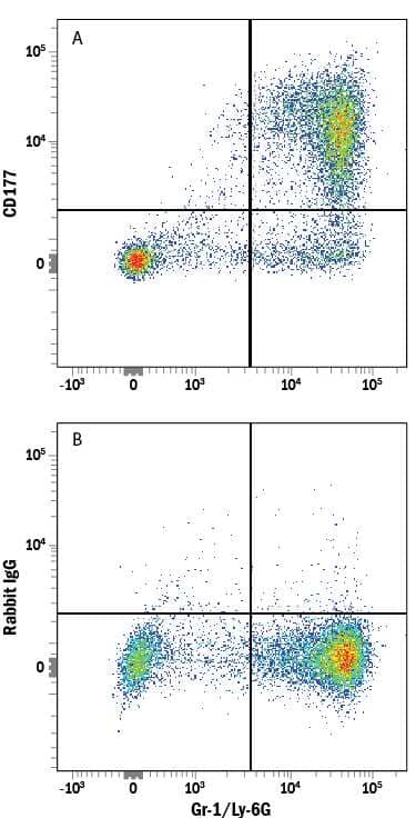 Mouse bone marrow cells were stained with Rat Anti-Mouse Gr-1/Ly-6G APC-conjugated Monoclonal Antibody (Catalog # FAB1037A) and either (A) Rabbit Anti-Mouse CD177 PE-conjugated Monoclonal Antibody (Catalog # FAB8186P) or (B) Normal Rabbit IgG Phycoerythrin Control (Catalog # IC105P). View our protocol for Staining Membrane-associated Proteins.