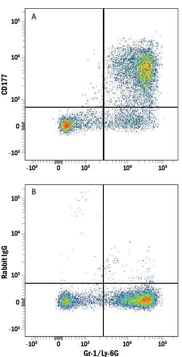 Mouse bone marrow cells were stained with Rat Anti-Mouse Gr-1/Ly-6G Fluorescein-conjugated Monoclonal Antibody (Catalog # FAB1037F) and either (A) Rabbit Anti-Mouse CD177 Alexa Fluor® 647-conjugated Monoclonal Antibody (Catalog # FAB8186R) or (B) Normal Rabbit IgG Alexa Fluor 647 Control. View our protocol for Staining Membrane-associated Proteins.
