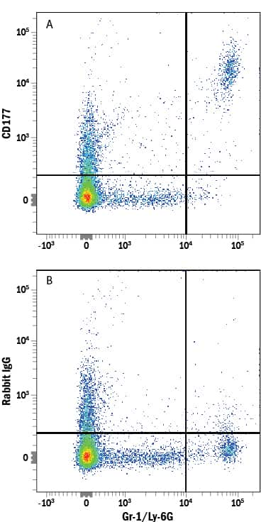 Mouse splenocytes were stained with Rat Anti-Mouse Gr‑1/Ly‑6G APC‑conjugated Monoclonal Antibody (Catalog # FAB1037A) and either (A) Rabbit Anti-Mouse CD177 Monoclonal Antibody (Catalog # MAB8186) or (B) Normal Rabbit IgG Control (Catalog #AB-105-C) followed by Phycoerythrin-conjugated Anti-Rabbit IgG Secondary Antibody (Catalog # F0110). 