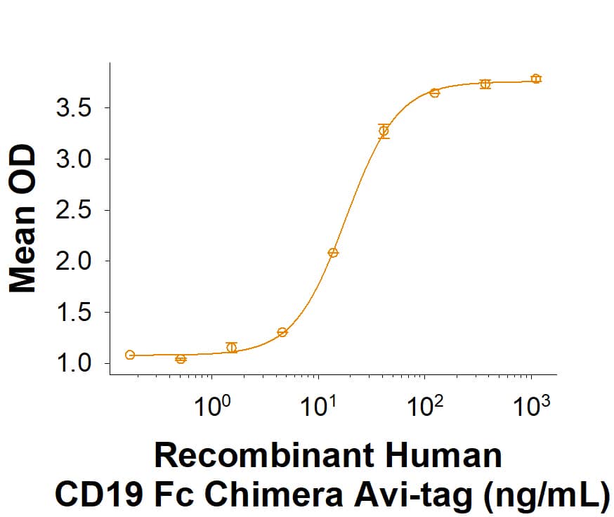 When Human CD19 antibody (FMC63) (Novus Biologicals Catalog # NBP2-52716) is immobilized at 0.5 μg/mL, 100 μL/well, Recombinant Human CD19 Fc Chimera Avi-tag (Catalog # AVI9269) binds with an ED50 of 7.5-45 ng/mL.