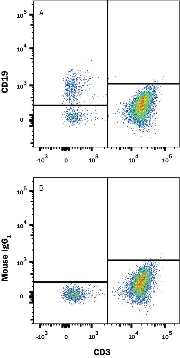 Human peripheral blood mononuclear cells (PBMCs) were stained with Mouse Anti-Human CD3e PE‑conjugated Monoclonal Antibody (Catalog # FAB100P) and either (A) Mouse Anti-Human CD19 PerCP‑conjugated Monoclonal Antibody (Catalog # FAB4867C) or (B) Mouse IgG1PerCP Isotype Control (Catalog # IC002C). View our protocol for Staining Membrane-associated Proteins.