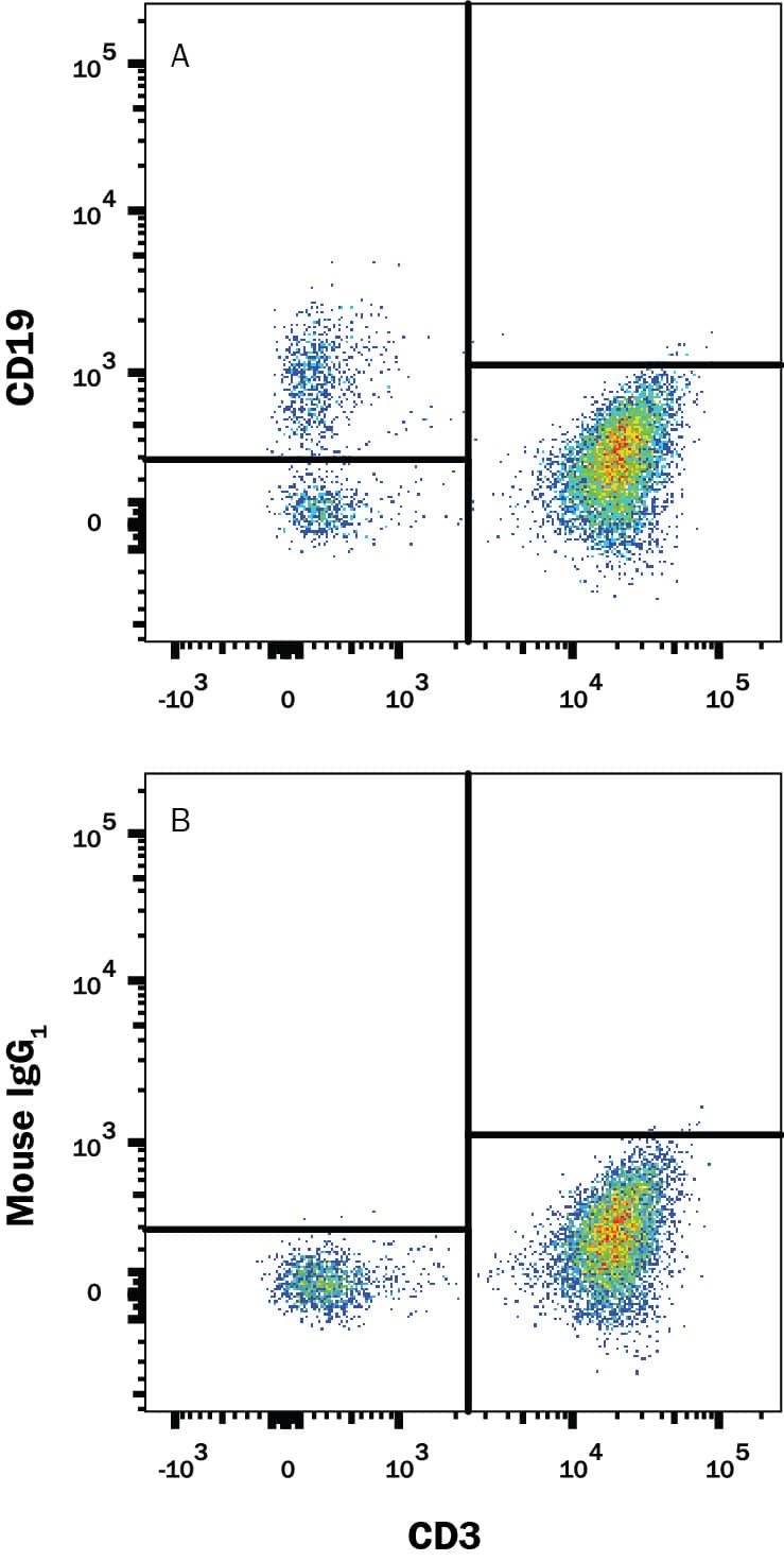 Human peripheral blood mononuclear cells (PBMCs) were stained with Mouse Anti-Human CD3 epsilon  PE‑conjugated Monoclonal Antibody (Catalog # FAB100P) and either (A) Mouse Anti-Human CD19 PerCP‑conjugated Monoclonal Antibody (Catalog # FAB4867C) or (B) Mouse IgG1 PerCP Isotype Control (Catalog # IC002C). View our protocol for Staining Membrane-associated Proteins. 