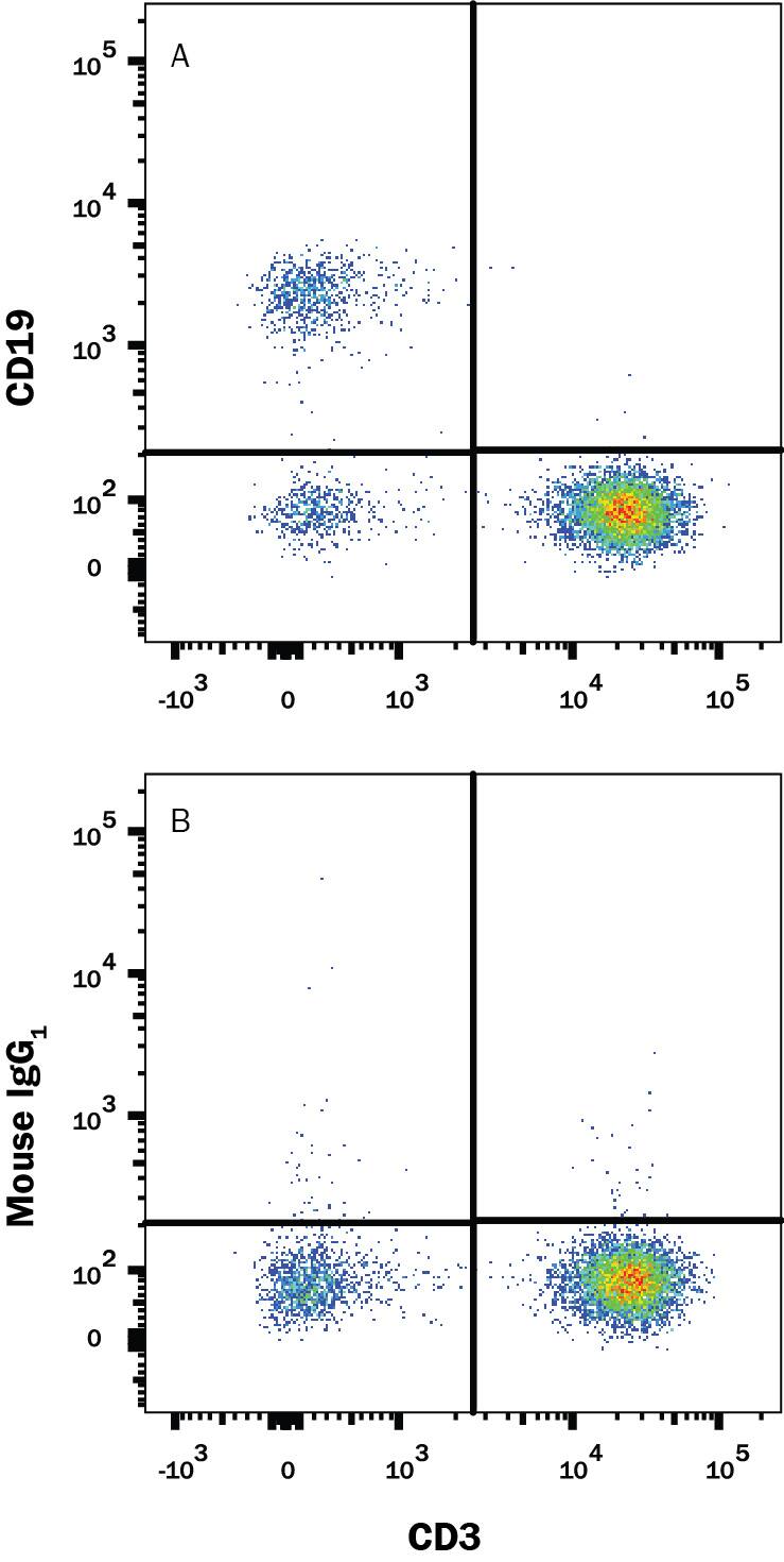 Human peripheral blood mononuclear cells (PBMCs) were stained with Mouse Anti-Human CD3e APC&#x2011;conjugated Monoclonal Antibody (Catalog # FAB100A) and either (A) Mouse Anti-Human CD19 Fluorescein&#x2011;conjugated Monoclonal Antibody (Catalog # FAB4867F) or (B) Mouse IgG1Fluorescein Isotype Control (Catalog # IC002F). View our protocol for Staining Membrane-associated Proteins.