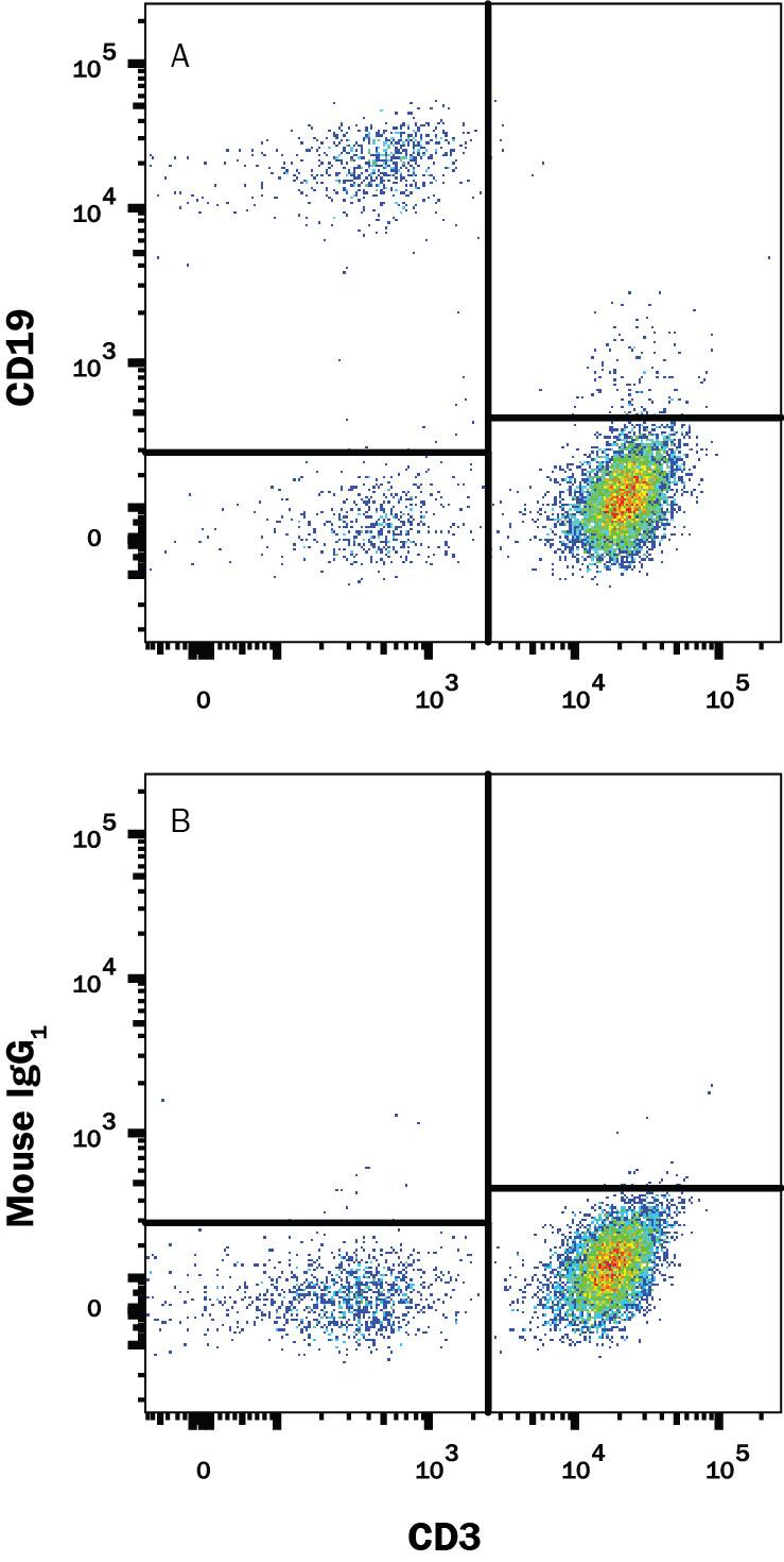     Human peripheral  blood mononuclear cells (PBMCs) were stained with Recombinant Mouse Anti-Human CD3 epsilon   Alexa Fluor® 700‑conjugated Monoclonal Antibody (Catalog # FAB100N) and either (A) Mouse Anti-Human CD19 Monoclonal Antibody (Catalog #  MAB4867R) or (B) Mouse IgG1 Isotype Control  (Catalog # MAB002)  followed by Allophycocyanin-conjugated Anti-Mouse IgG Secondary Antibody  (Catalog # F0101B).  