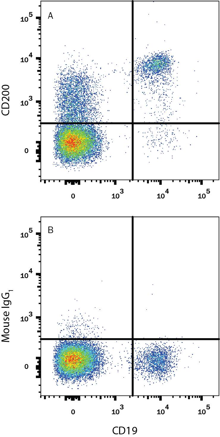 Human peripheral blood lymphocytes were stained with Mouse Anti-Human CD19 APC-conjugated Monoclonal Antibody (Catalog # FAB4867A) and either (A) Mouse Anti-Human CD200 PE-conjugated Monoclonal Antibody (Catalog # FAB27241P) or (B) Mouse IgG1Phycoerythrin Isotype Control (Catalog # IC002P). View our protocol for Staining Membrane-associated Proteins.