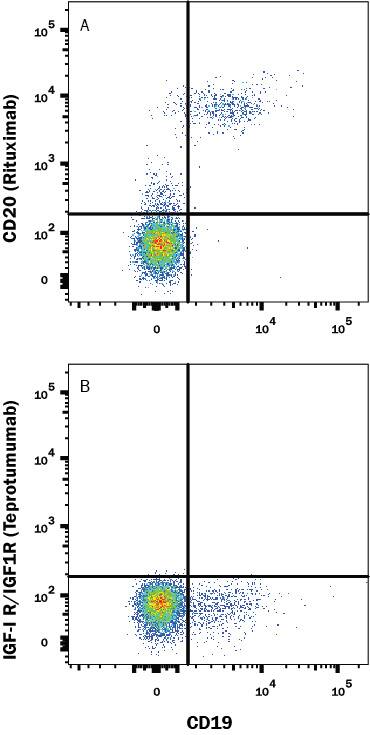 Human PBMC were stained with (A) Human Anti-Human CD20 (Research Grade Rituximab Biosimilar) Alexa Fluor® 488-conjugated Monoclonal Antibody (Catalog # FAB9575G) or (B) Human Anti-Human IGF-I R/IGF1R (Research Grade Teprotumumab Biosimilar) Alexa Fluor® 488-conjugated Monoclonal Antibody (Catalog # FAB9718G, irrelevant antibody) and Mouse anti-Human CD19 PE-conjugated Monoclonal Antibody (Catalog # FAB4867P). View our protocol for Staining Membrane-associated Proteins.