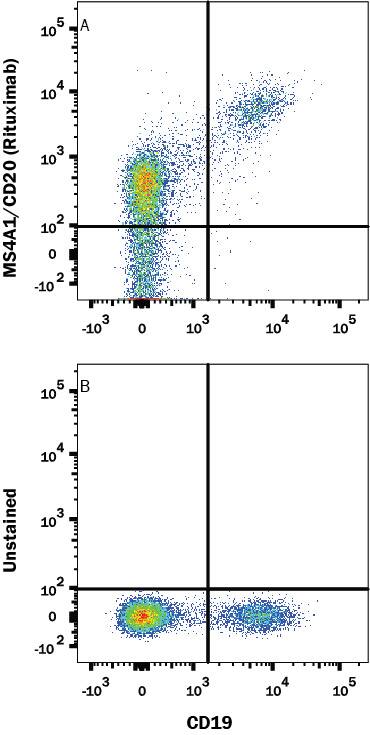 Human PBMC were stained with (A) Human Anti-Human CD20 (Research Grade Rituximab Biosimilar) Alexa Fluor® 700‑conjugated Monoclonal Antibody (Catalog # FAB9575N) or (B) unstained, and Mouse anti-Human CD19 PE-conjugated Monoclonal Antibody (Catalog # FAB4867P). View our protocol for Staining Membrane-associated Proteins.