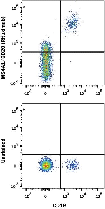 Human PBMC were stained with (A) Human Anti-Human CD20 (Research Grade Rituximab Biosimilar) PE-conjugated Monoclonal Antibody (Catalog # FAB9575P) or (B) unstained, and Mouse anti-Human CD19 APC-conjugated Monoclonal Antibody (Catalog # FAB4867A). View our protocol for Staining Membrane-associated Proteins.