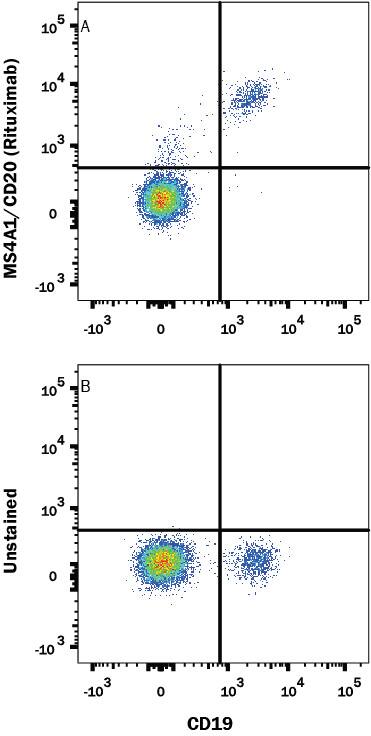 Human PBMC were stained with (A) Human Anti-Human CD20 (Research Grade Rituximab Biosimilar) Alexa Fluor® 405-conjugated Monoclonal Antibody (Catalog # FAB9575V) or (B) unstained, and Mouse anti-Human CD19 APC-conjugated Monoclonal Antibody (Catalog # FAB4867A). View our protocol for Staining Membrane-associated Proteins.