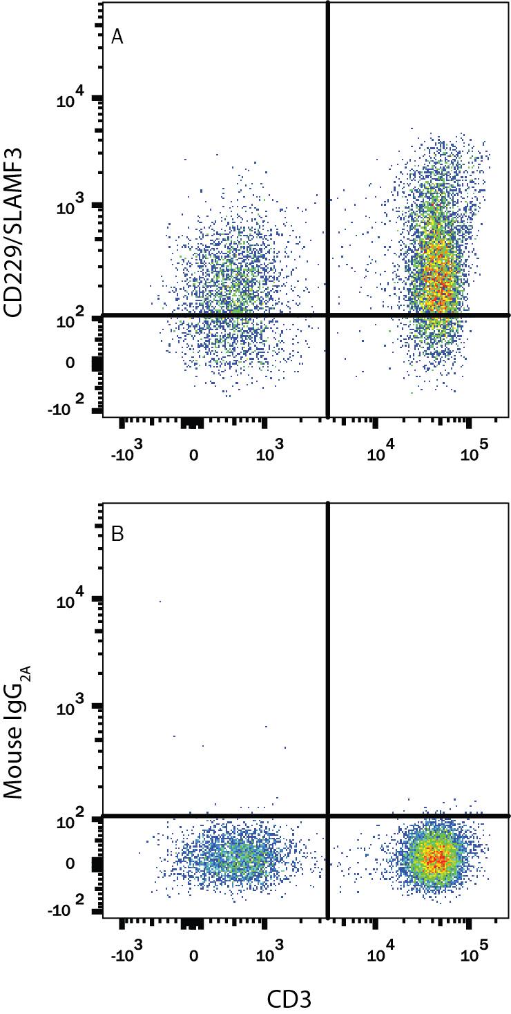 Human peripheral blood mononuclear cells (PBMCs) were stained with Mouse Anti-Human CD3e PE-conjugated Monoclonal Antibody (Catalog # FAB100P) and either (A) Mouse Anti-Human CD229/SLAMF3 APC-conjugated Monoclonal Antibody (Catalog # FAB1898A) or (B) Mouse IgG2AAllophycocyanin Isotype Control (Catalog # IC003A). View our protocol for Staining Membrane-associated Proteins.