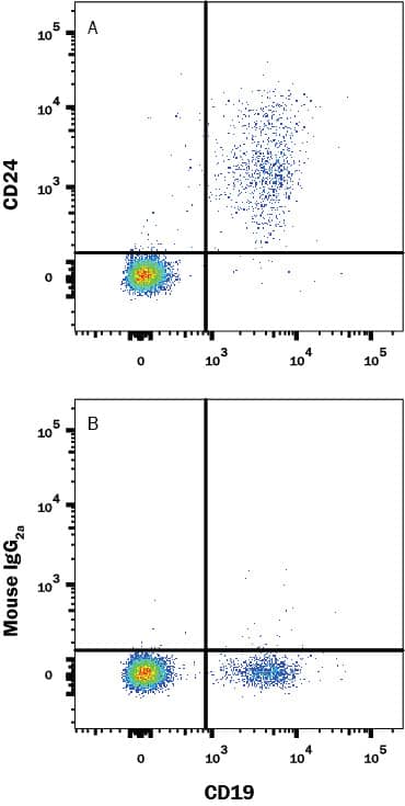 Human peripheral blood lymphocytes were stained with Mouse Anti-Human CD19 PE-conjugated Monoclonal Antibody (FAB4867P) and either (A) Mouse Anti-Human CD24 Biotinylated Monoclonal Antibody (Catalog # FAB5247B) or (B) Mouse IgG2A Biotinylated Isotype Control Antibody (IC003B) followed by APC-conjugated Streptavidin (F0050). View our protocol for Staining Membrane-associated Proteins.