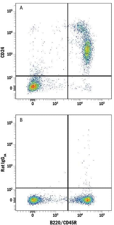 Mouse splenocytes were stained with Rat Anti-Mouse B220/CD45R APC-conjugated Monoclonal Antibody (Catalog # FAB1217A) and either (A) Rat Anti-Mouse CD24 PE-conjugated Monoclonal Antibody (Catalog # FAB8547P) or (B) Rat IgG2APhycoerythrin Isotype Control (Catalog # IC006P). View our protocol for Staining Membrane-associated Proteins.