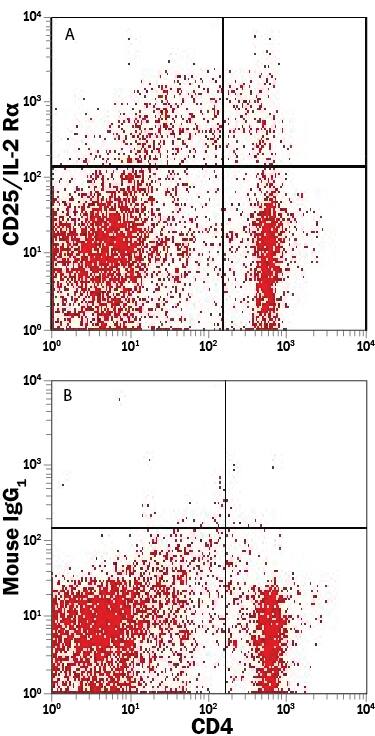 Rat splenocytes were stained with APC-conjugated anti-rat CD4 antibody and either (A) Mouse Anti-Rat CD25/IL-2 R alpha PE-conjugated Monoclonal Antibody (Catalog # FAB51561P) or (B) Mouse IgG1Phycoerythrin Isotype Control (Catalog # IC002P). View our protocol for Staining Membrane-associated Proteins.