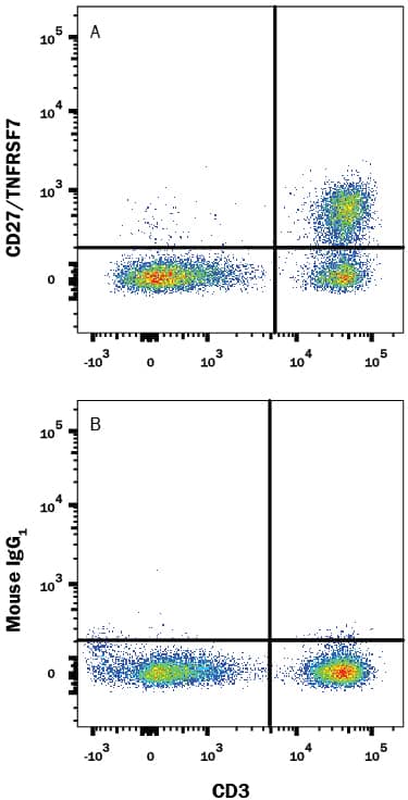 Human peripheral blood mononuclear cells (PBMCs) were stained with Mouse Anti-Human CD3e PE-conjugated Monoclonal Antibody (Catalog # FAB100P) and either (A) Mouse Anti-Human CD27/TNFRSF7 APC-conjugated Monoclonal Antibody (Catalog # FAB382A) or (B) Mouse IgG1Allophycocyanin Isotype Control (Catalog # IC002A). View our protocol for Staining Membrane-associated Proteins.