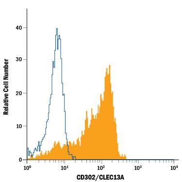 Human peripheral blood monocytes were stained with Mouse Anti-Human CD302/CLEC13A Alexa Fluor® 488-conjugated Monoclonal Antibody (Catalog # FAB6367G, filled histogram) or isotype control antibody (Catalog # IC002G, open histogram). View our protocol for Staining Membrane-associated Proteins.