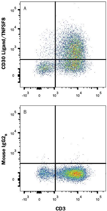 Human peripheral blood mononuclear cells (PBMCs) treated with 50 ng/mL PMA and 200 ng/mL Calcium Ionomycin overnight were stained with Mouse Anti-Human CD3e APC-conjugated Monoclonal Antibody (Catalog # FAB100A) and either (A) Mouse Anti-Human CD30 Ligand/TNFSF8 Alexa Fluor® 488-conjugated Monoclonal Antibody (Catalog # FAB1028G) or (B) Mouse IgG2BAlexa Fluor 488 Isotype Control (Catalog # IC0041G). View our protocol for Staining Membrane-associated Proteins.