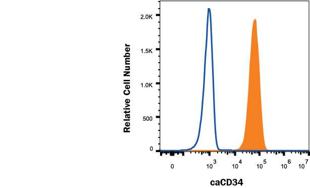 CLL-1390 canine leukocytic round cell neoplasia cell line was stained with Mouse Anti-Canine CD34 Alexa Fluor® 488-conjugated Monoclonal Antibody (Catalog # FAB3346G, filled histogram) or isotype control antibody (Catalog # IC002G, open histogram). View our protocol for Staining Membrane-associated Proteins.                                 