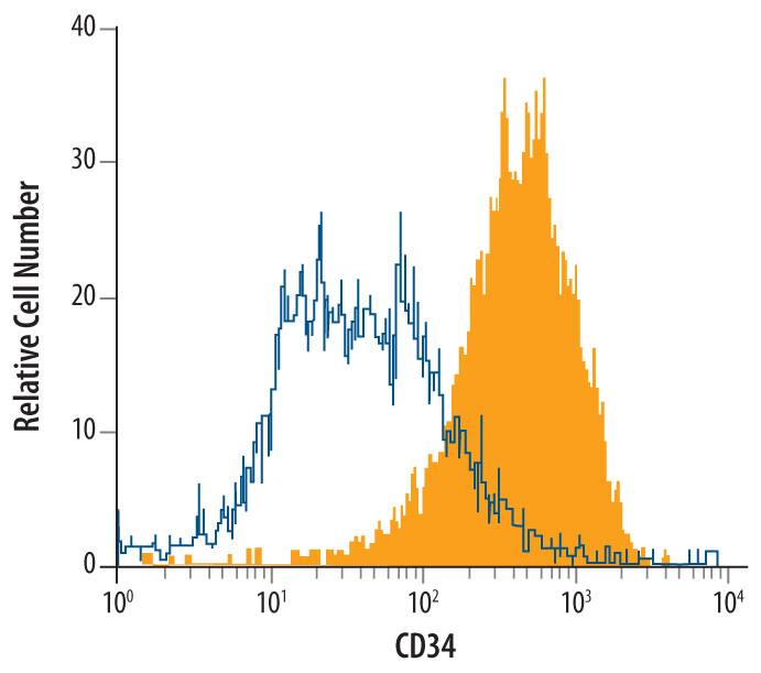 bEnd.3 mouse endothelioma cell line was stained with Rat Anti-Mouse CD34 Monoclonal Antibody (Catalog # MAB6518, filled histogram) or isotype control antibody (Catalog # MAB006, open histogram), followed by Allophycocyanin-conjugated Anti-Rat IgG Secondary Antibody (Catalog # F0113).