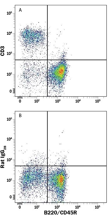 Mouse splenocytes were stained with Rat Anti-Mouse B220/CD45R APC‑conjugated Monoclonal Antibody (Catalog # FAB1217A) and either (A) Rat Anti-Mouse CD3 PE‑conjugated Monoclonal Antibody (Catalog # FAB4841P) or (B) Rat IgG2BPhycoerythrin Isotype Control (Catalog # IC013P). View our protocol for Staining Membrane-associated Proteins.